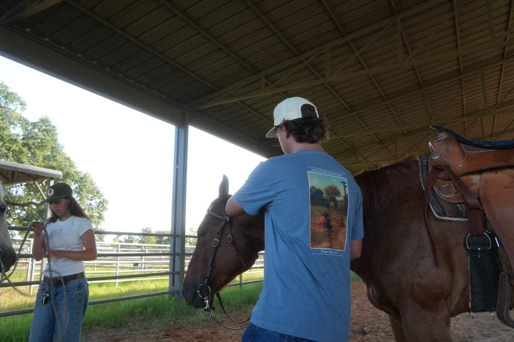 Short Sleeve longhorn Oil Painting T-Shirt